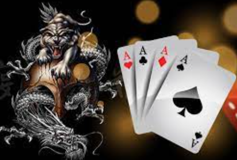 Payout Rate Dragon Tiger Card Game